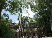 Ta Prohm temple