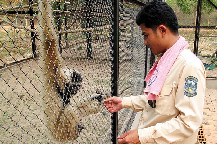 Angkor-Conservation-Biodiversity