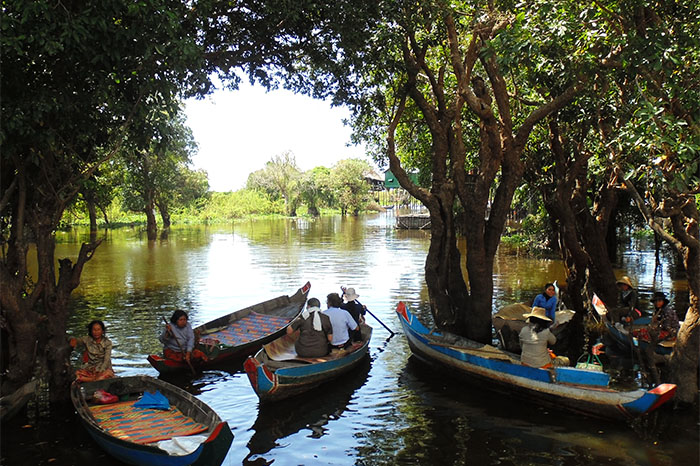 Kompong Phluk Mangrove