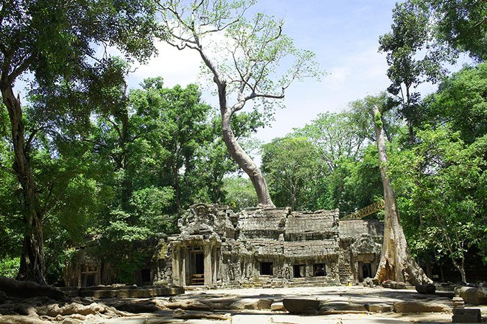 Ta Prohm temple