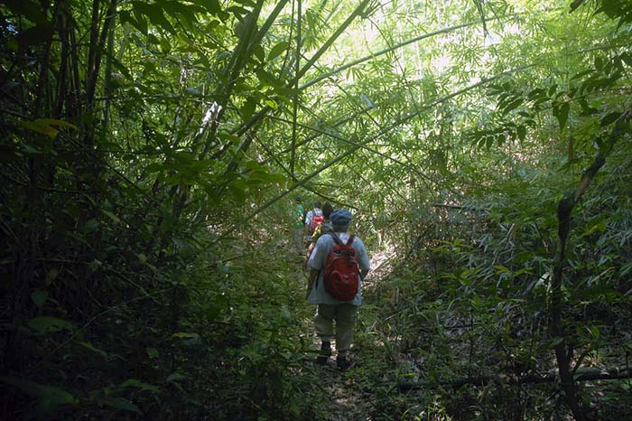 phnom-kulen-trekking