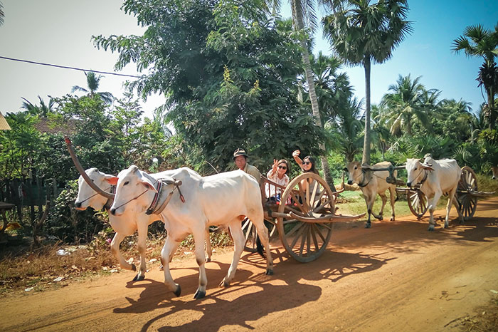 oxcart-ride-at-bakong-temple