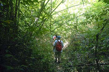 phnom-kulen-trekking