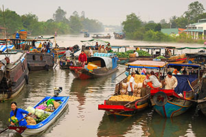 Mekong Delta River