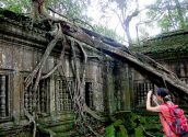 Beng Mealea Jungle Temple