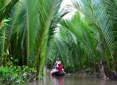 Mekong Delta River