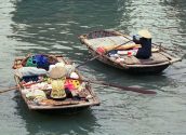 Mekong Delta River