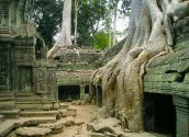 Ta Prohm Temple