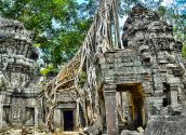 Ta Prohm Temple