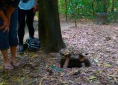 Cu Chi Tunnels