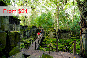 Beng Mealea Temple