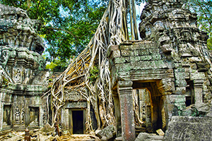 Ta Prohm Temple